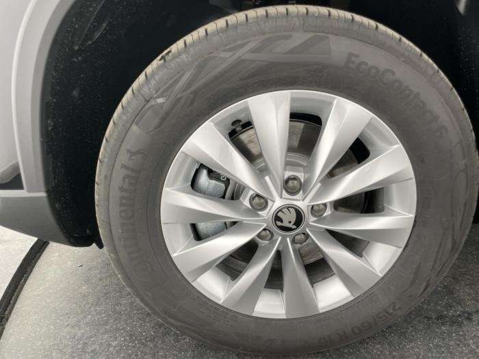 Fahrzeugbild eines Skoda Karoq