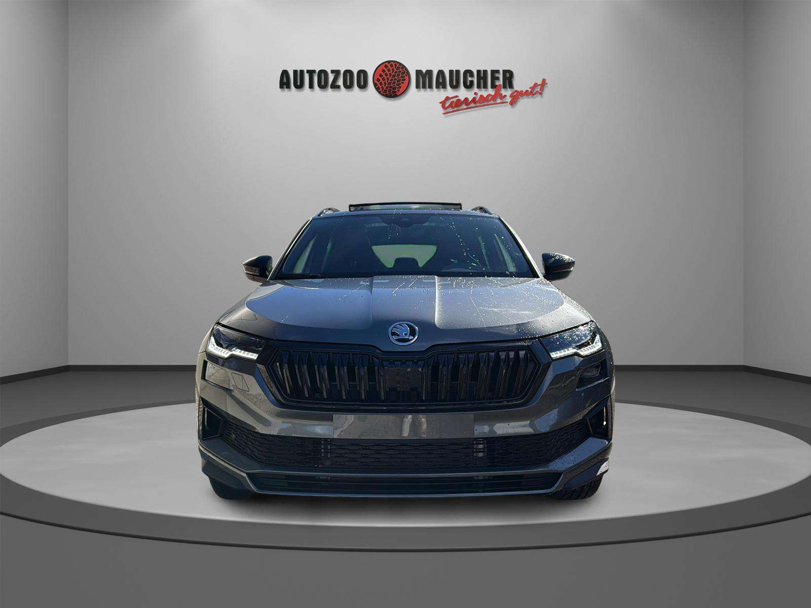 Fahrzeugbild eines Skoda Karoq