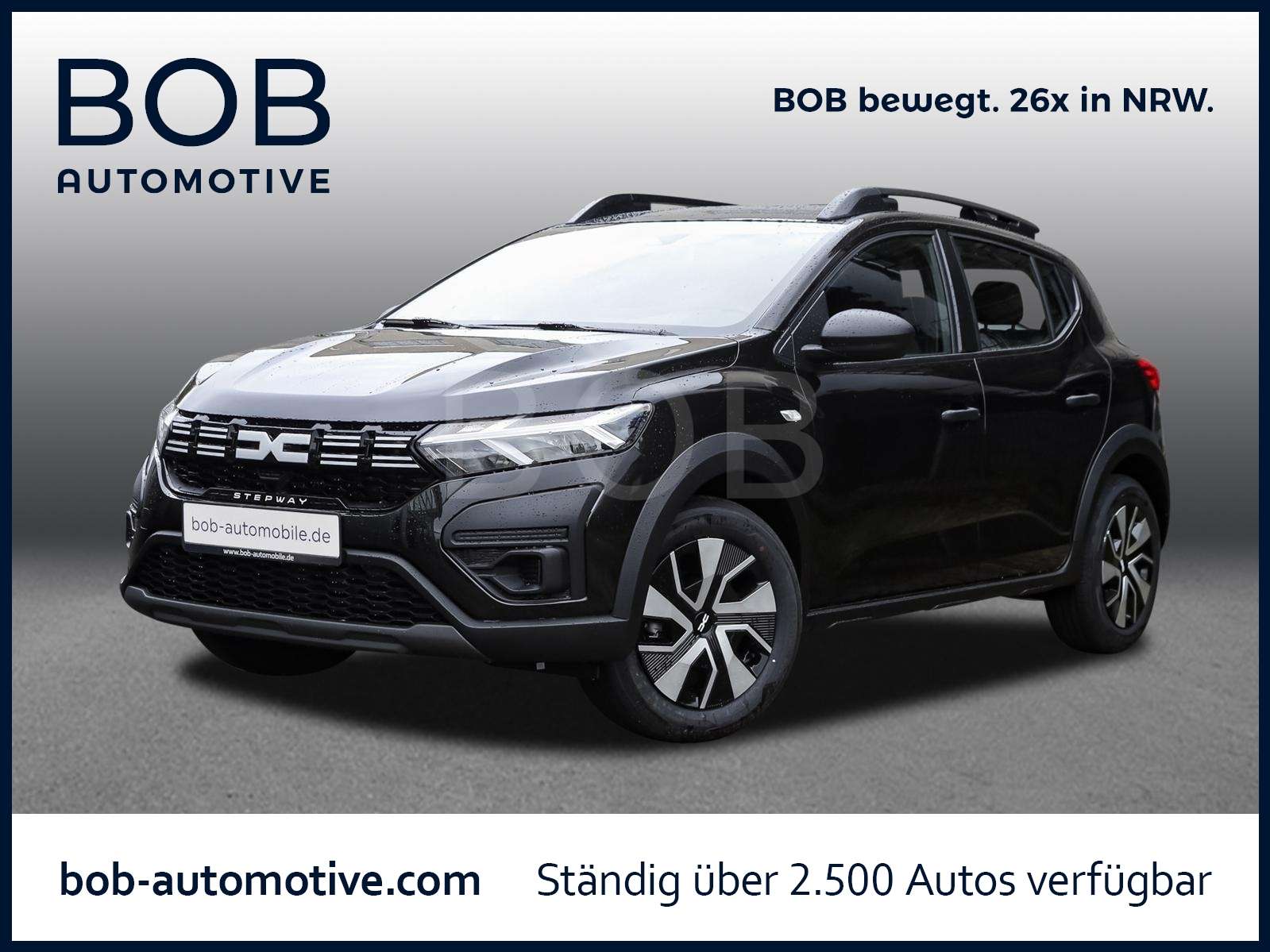 Fahrzeugbild eines Dacia Sandero