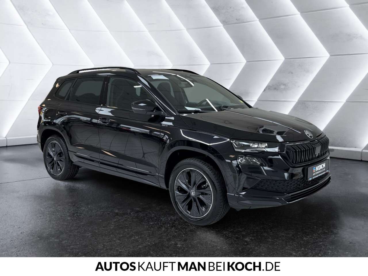 Fahrzeugbild eines Skoda Karoq