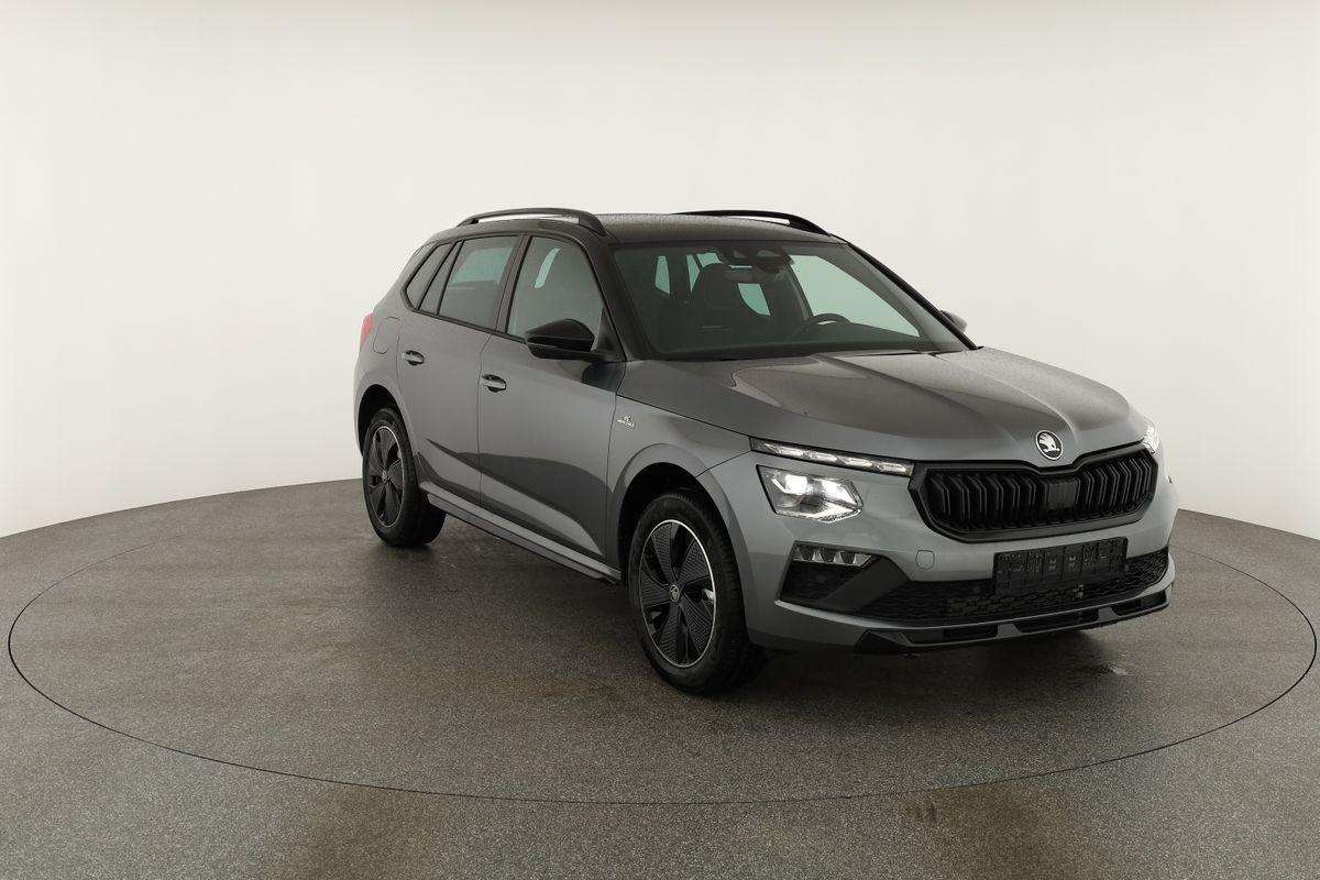 Fahrzeugbild eines Skoda Kamiq