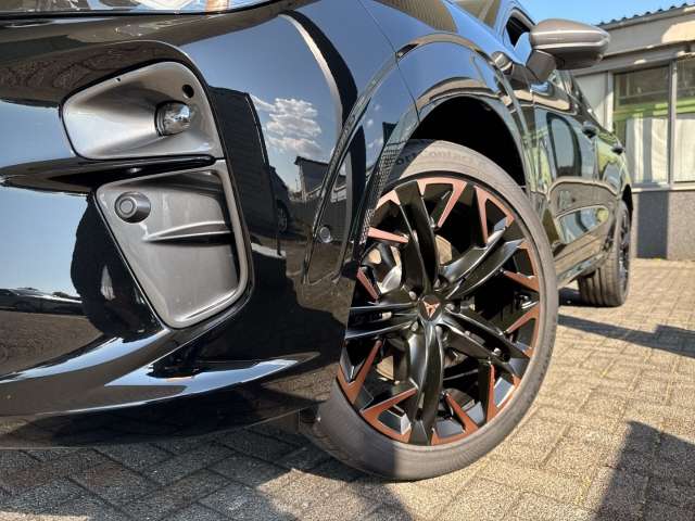 Fahrzeugbild eines CUPRA Terramar