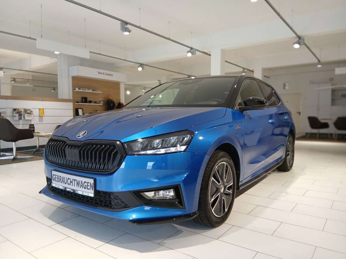 Fahrzeugbild eines Skoda Fabia