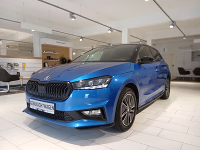 Bild Skoda Fabia
