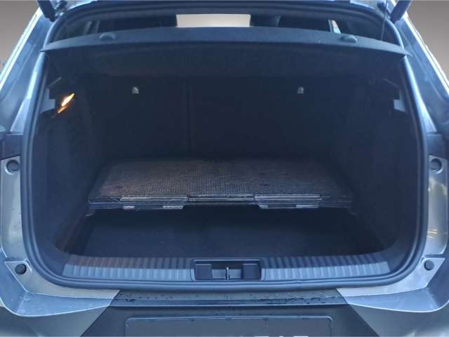 Fahrzeugbild eines Mitsubishi Grandis