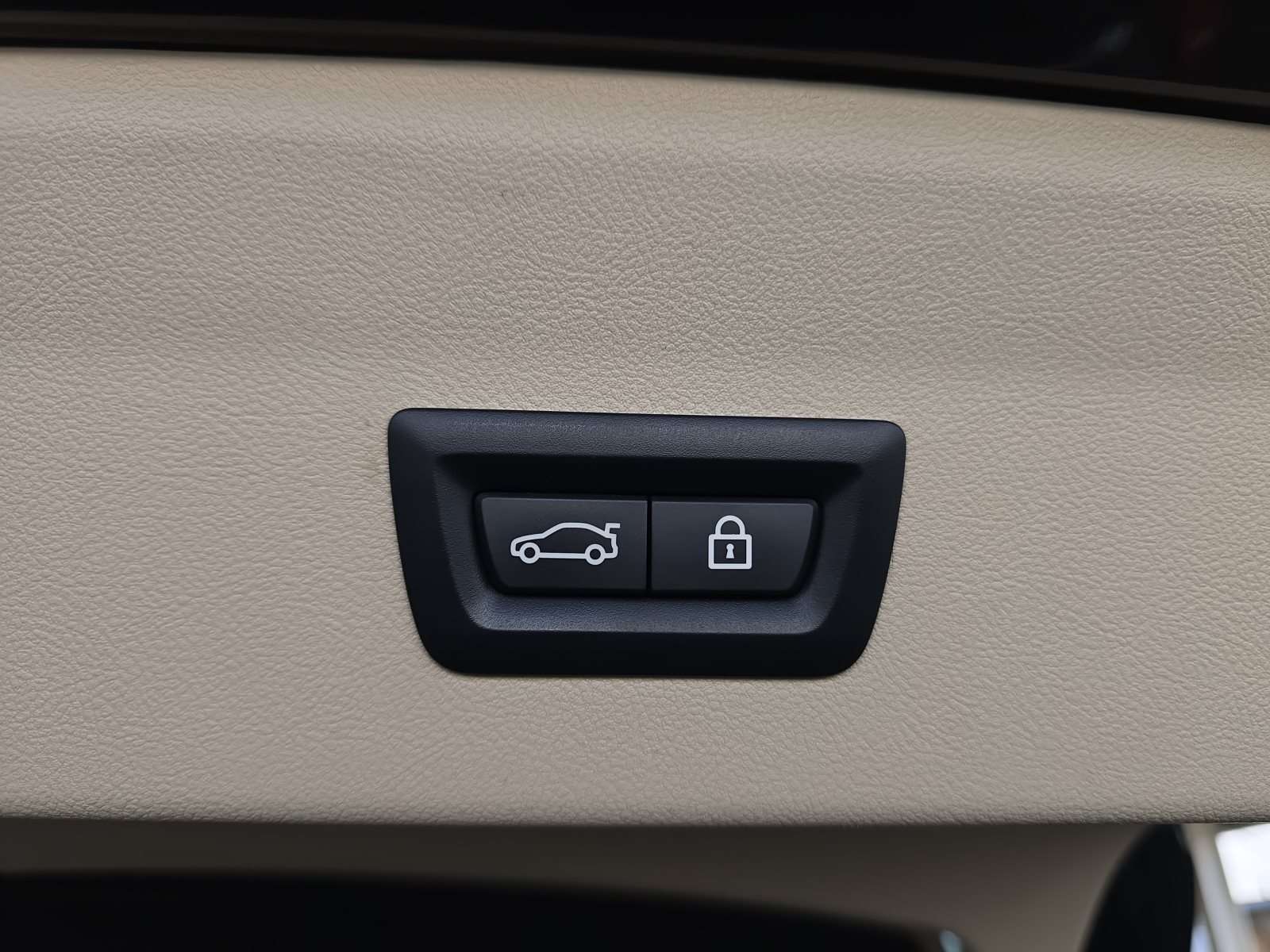 Fahrzeugbild eines BMW X4