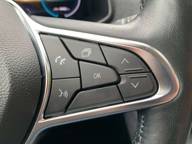 Fahrzeugbild eines Renault ZOE