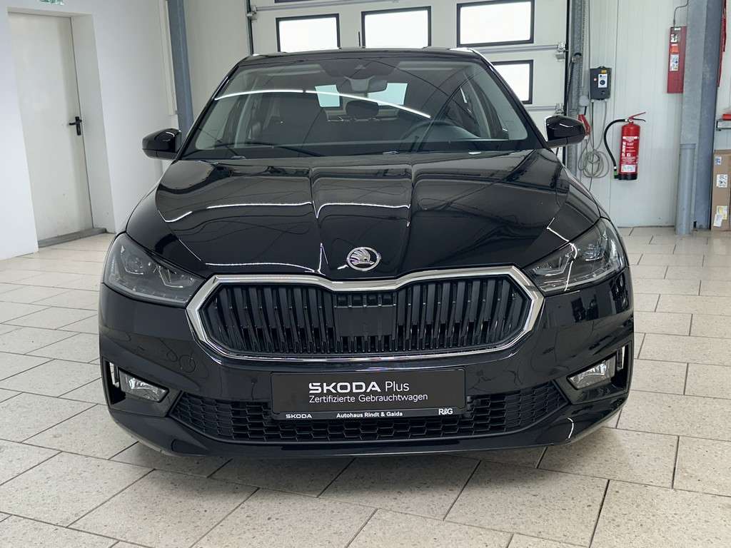 Fahrzeugbild eines Skoda Fabia