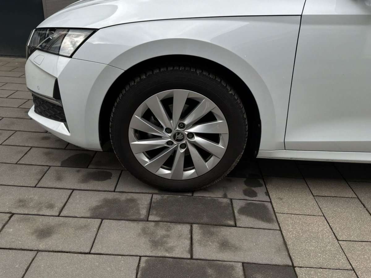 Fahrzeugbild eines Skoda Octavia