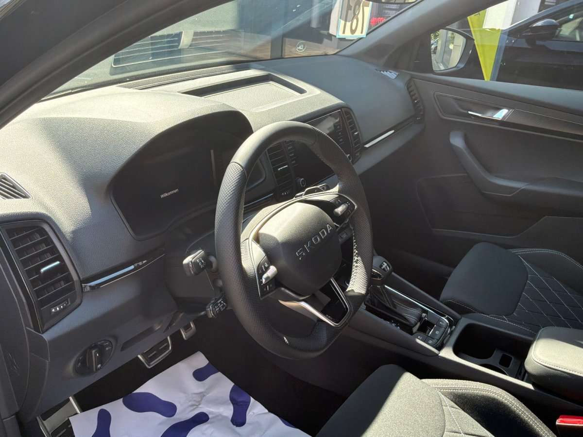 Fahrzeugbild eines Skoda Karoq