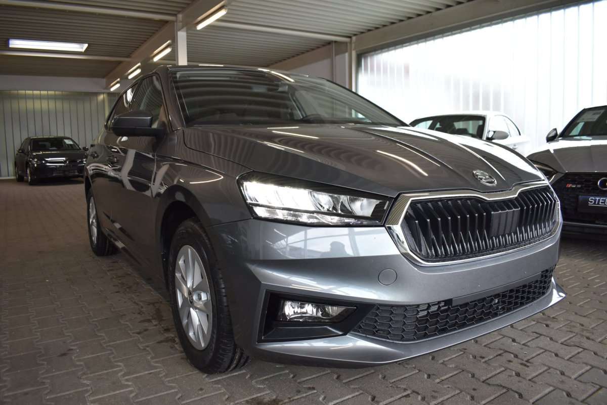 Fahrzeugbild eines Skoda Fabia