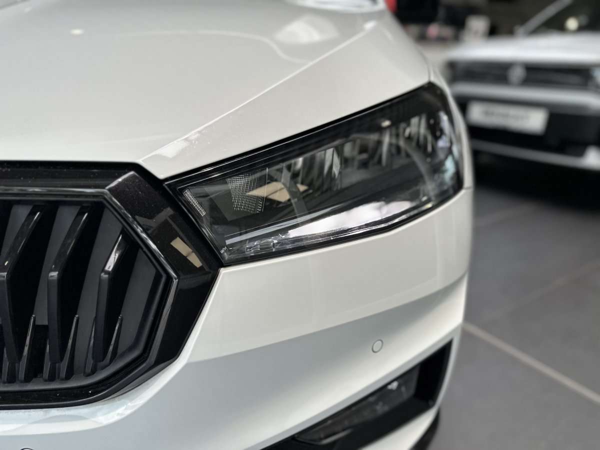 Fahrzeugbild eines Skoda Fabia