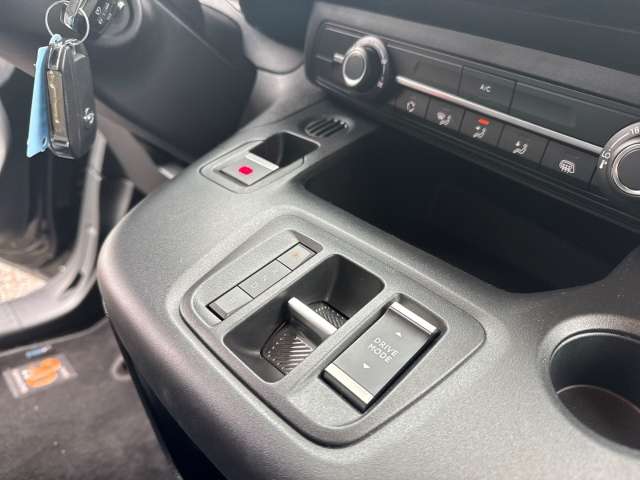 Fahrzeugbild eines Opel Combo Electric