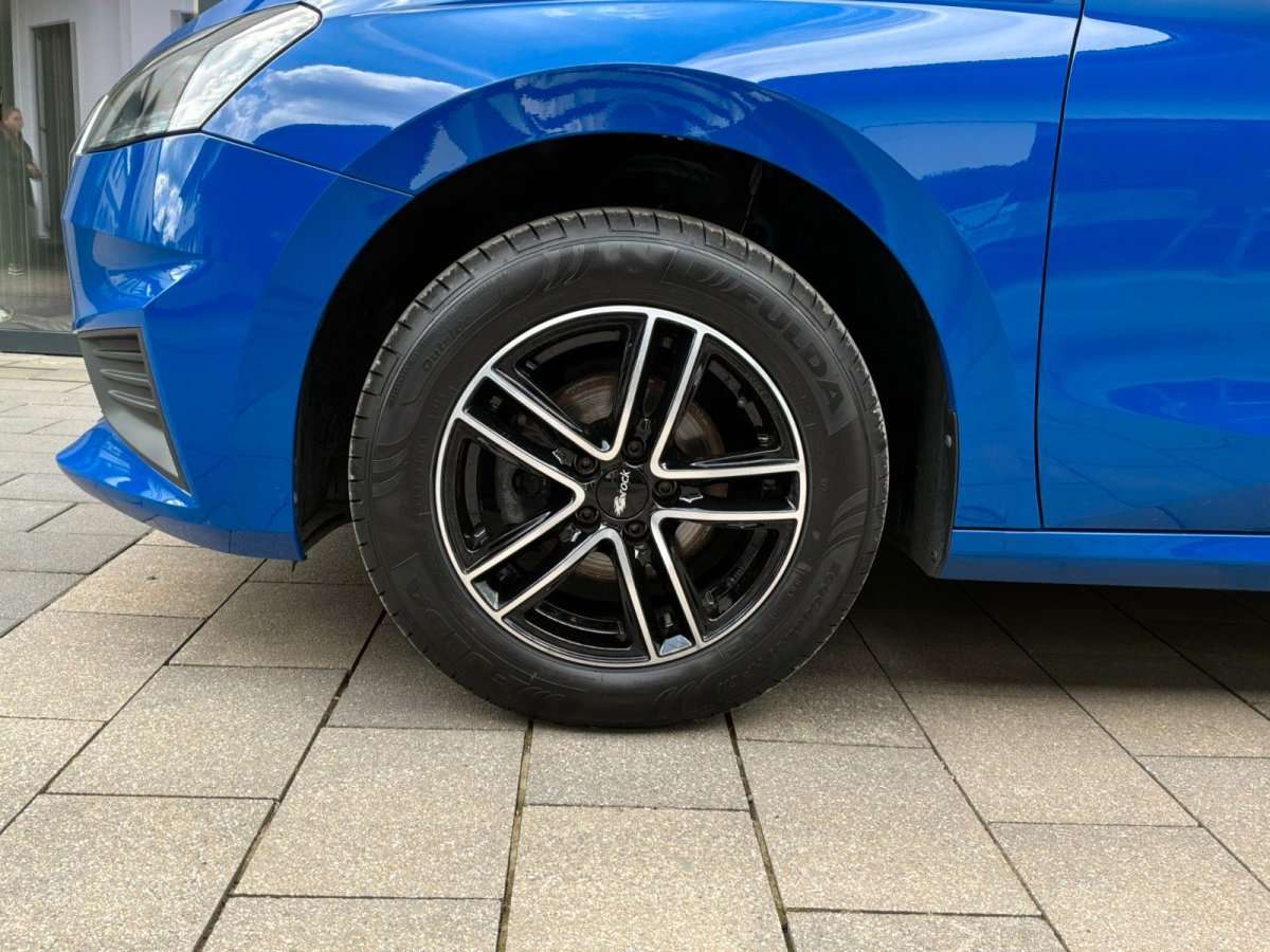 Fahrzeugbild eines Skoda Fabia