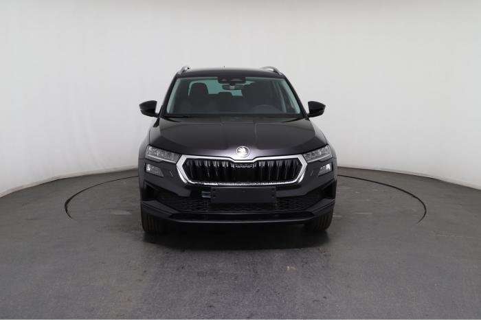 Fahrzeugbild eines Skoda Karoq
