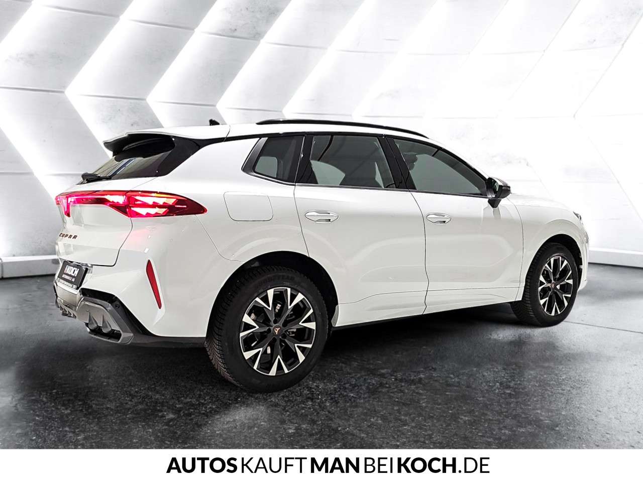 Fahrzeugbild eines CUPRA Terramar