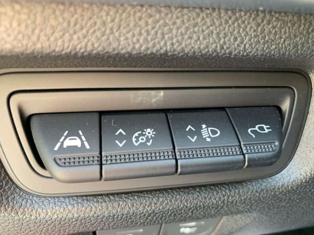 Fahrzeugbild eines Renault ZOE
