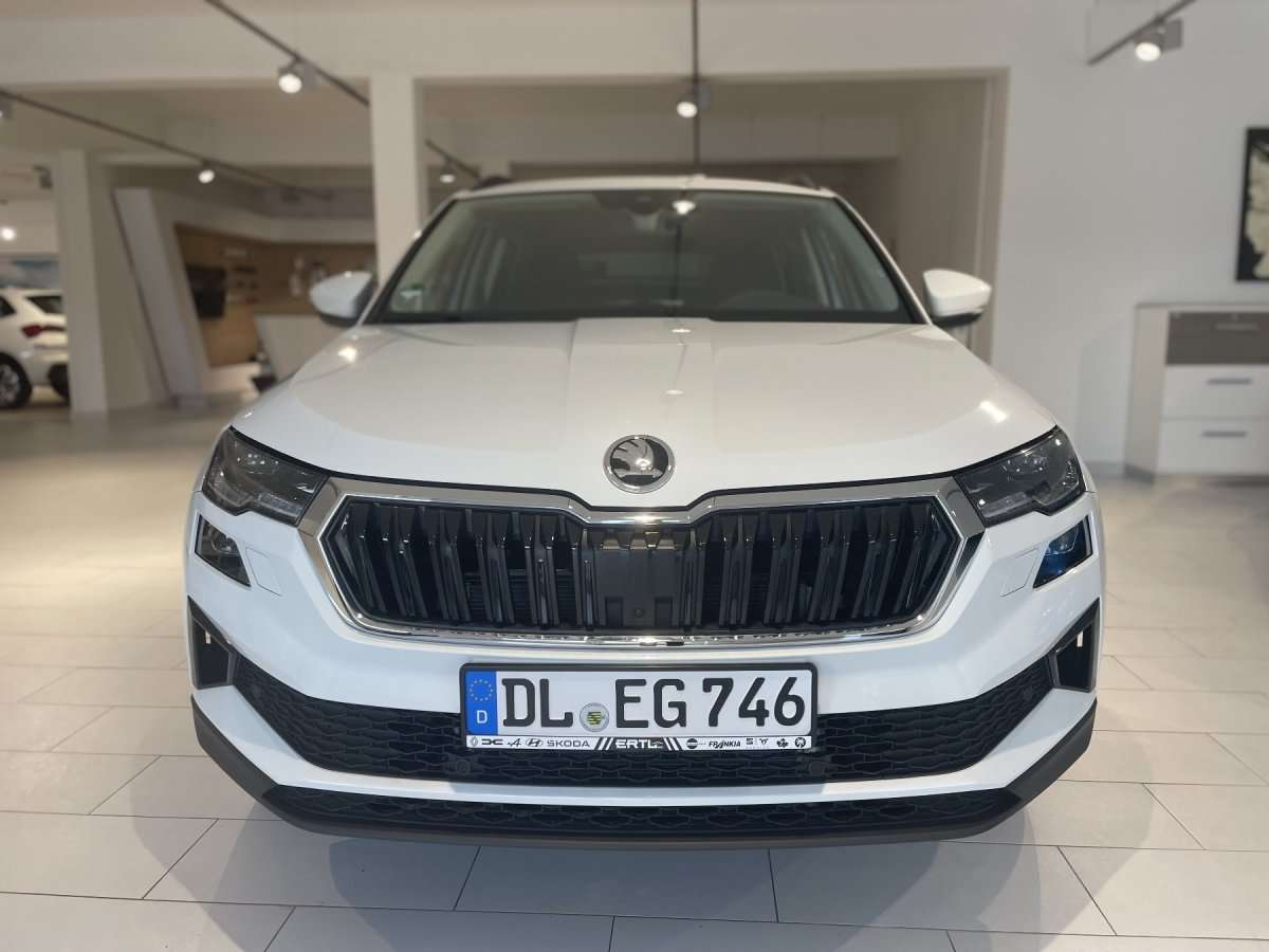 Fahrzeugbild eines Skoda Karoq