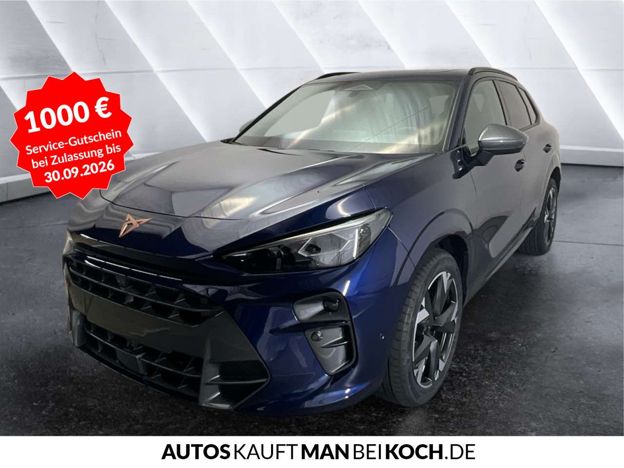 Fahrzeugbild eines CUPRA Terramar
