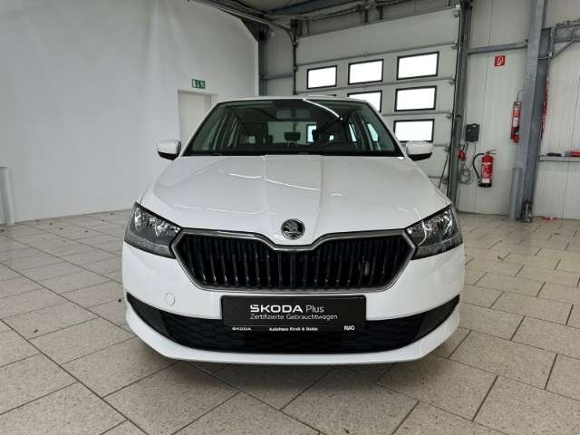 Fahrzeugbild eines Skoda Fabia