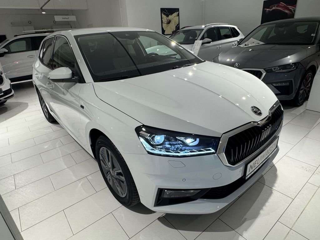 Fahrzeugbild eines Skoda Fabia