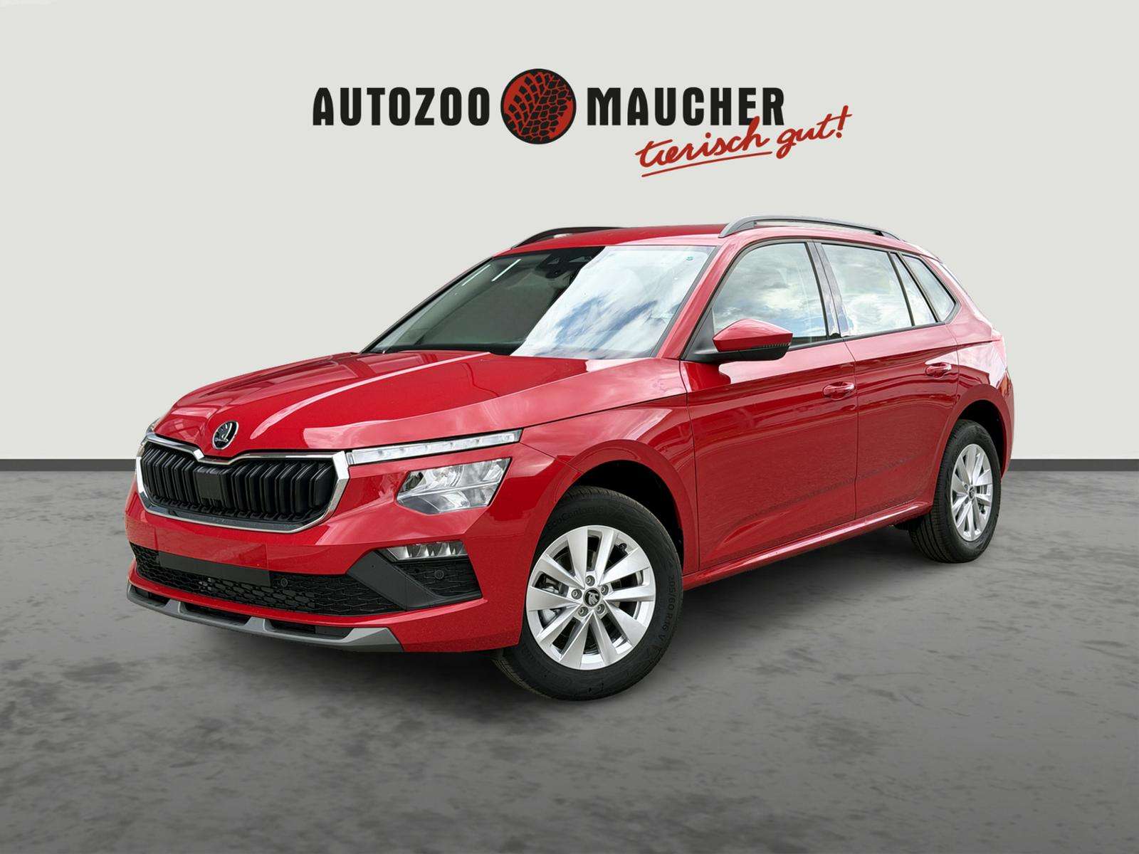 Fahrzeugbild eines Skoda Kamiq