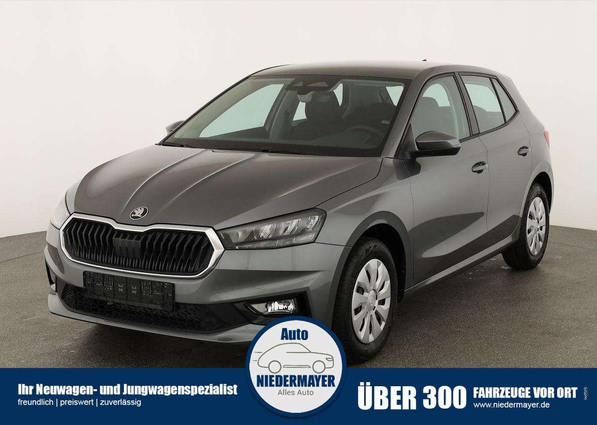Fahrzeugbild eines Skoda Fabia