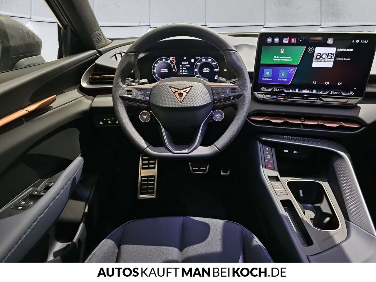 Fahrzeugbild eines CUPRA Terramar