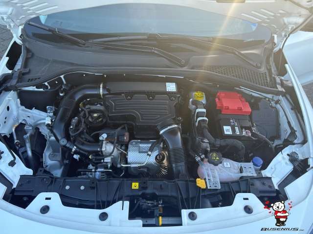 Fahrzeugbild eines Fiat Tipo