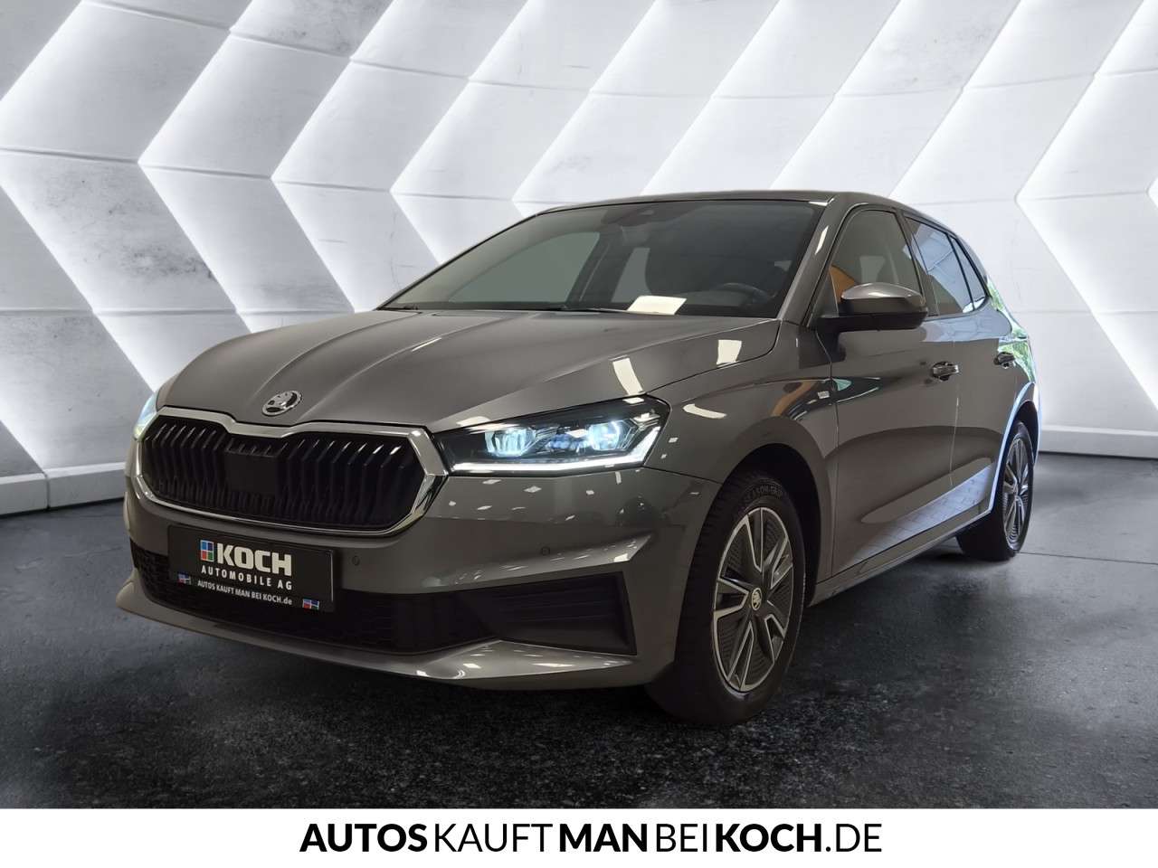 Fahrzeugbild eines Skoda Fabia