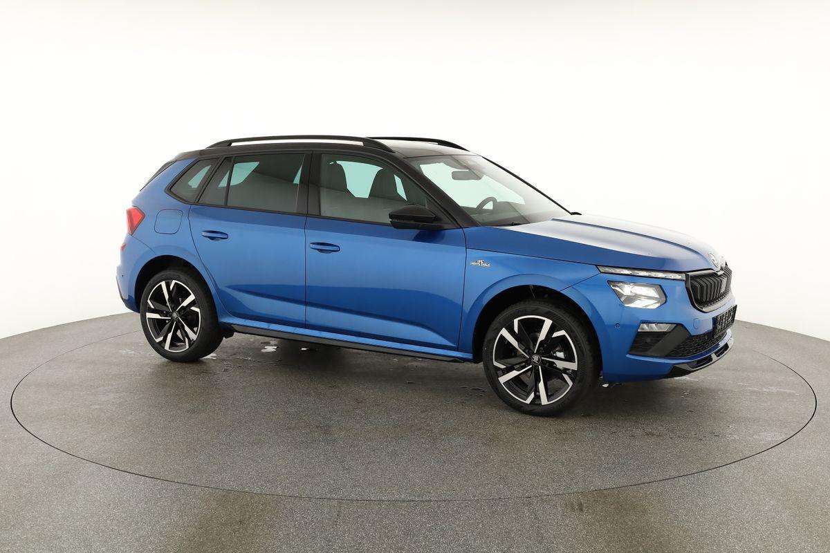 Fahrzeugbild eines Skoda Kamiq
