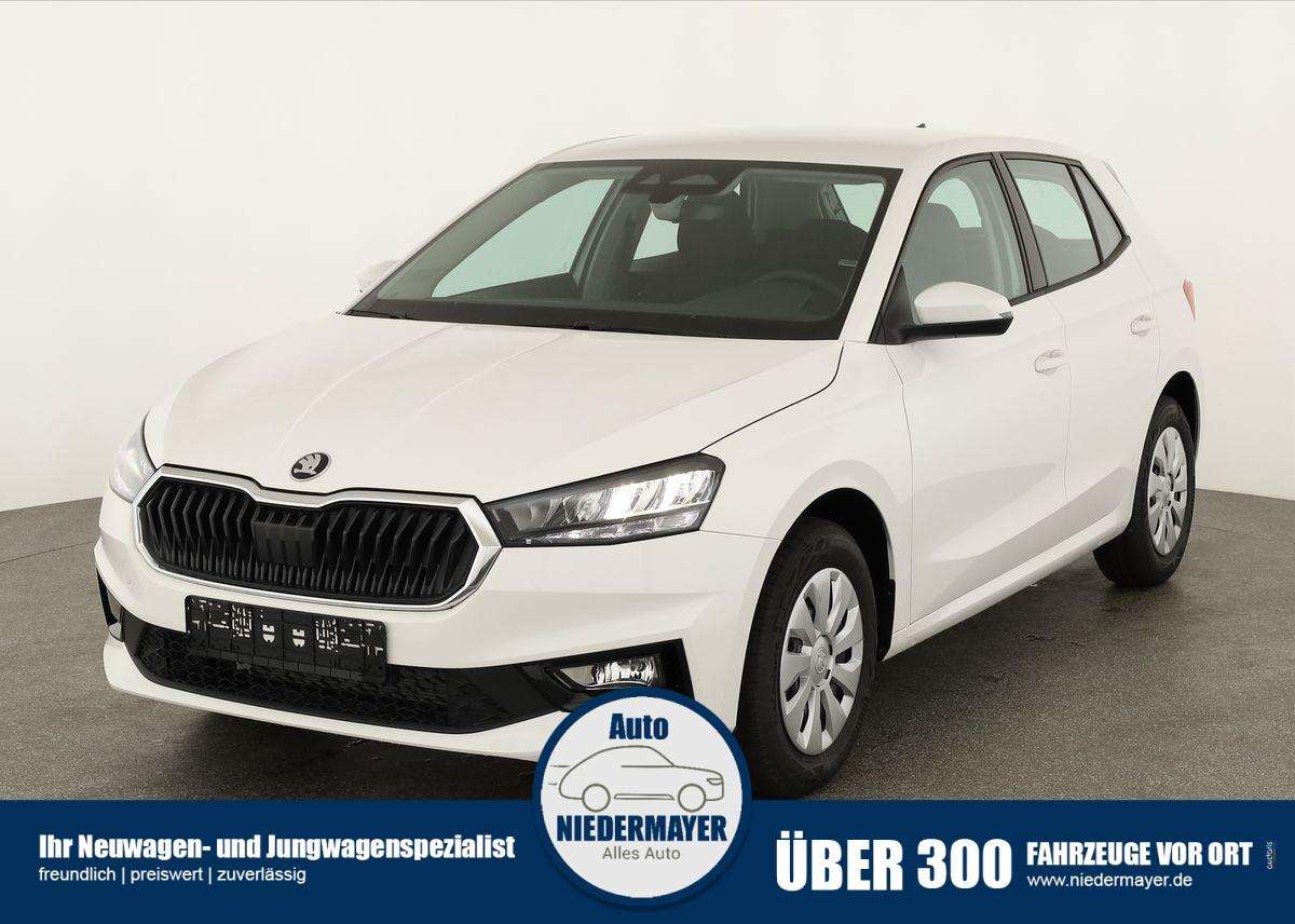 Fahrzeugbild eines Skoda Fabia