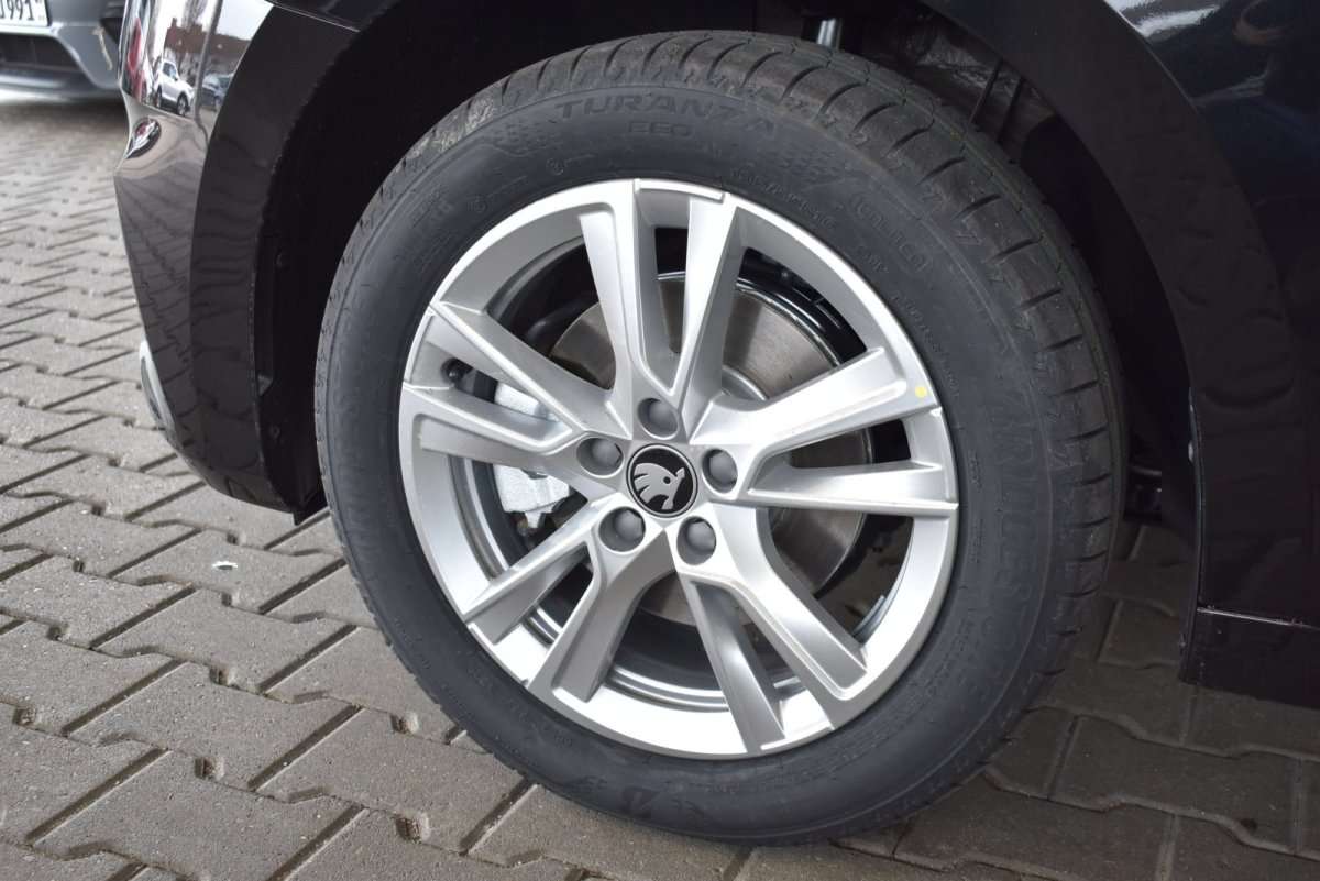 Fahrzeugbild eines Skoda Fabia