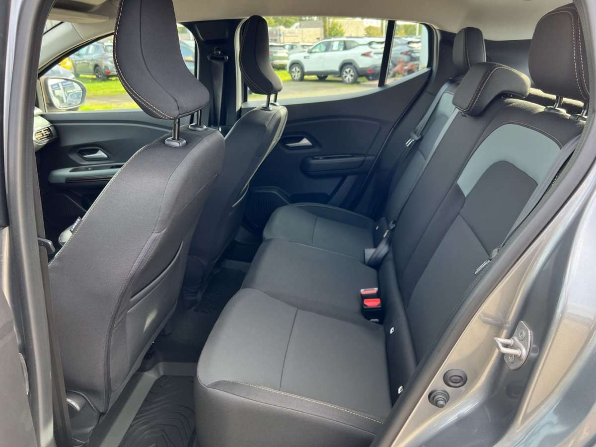 Fahrzeugbild eines Dacia Sandero