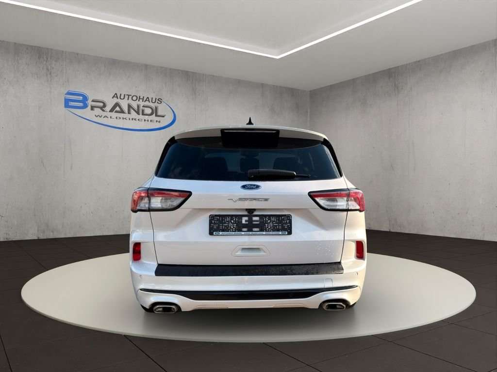 Fahrzeugbild eines Ford Kuga