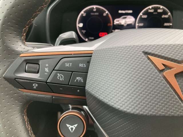 Fahrzeugbild eines CUPRA Formentor