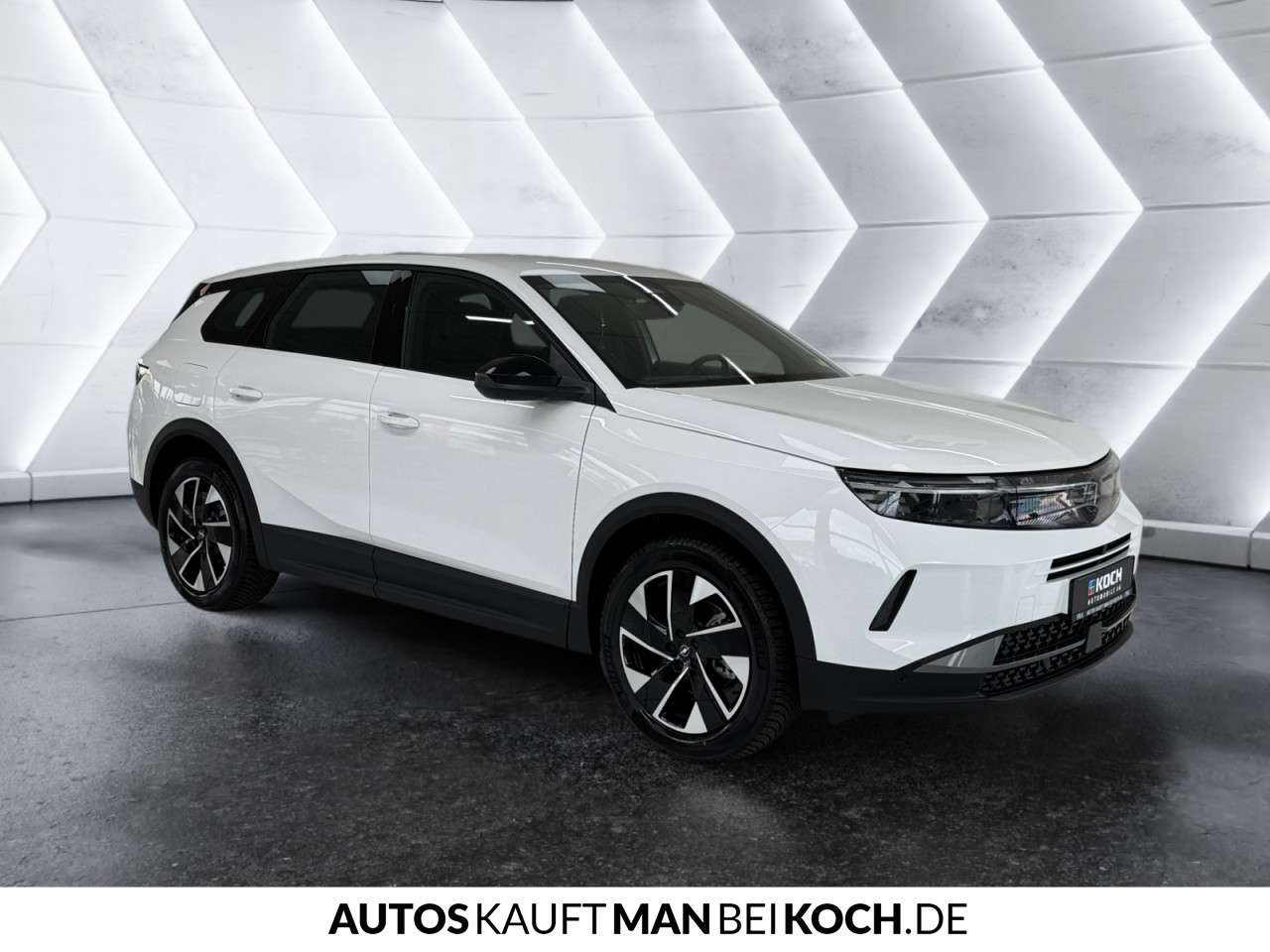 Fahrzeugbild eines Opel Grandland X