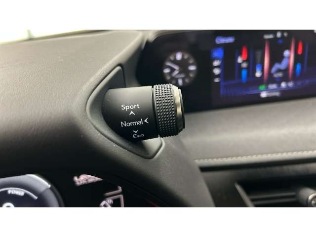 Fahrzeugbild eines Lexus UX