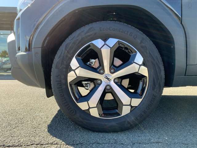 Fahrzeugbild eines Dacia Duster
