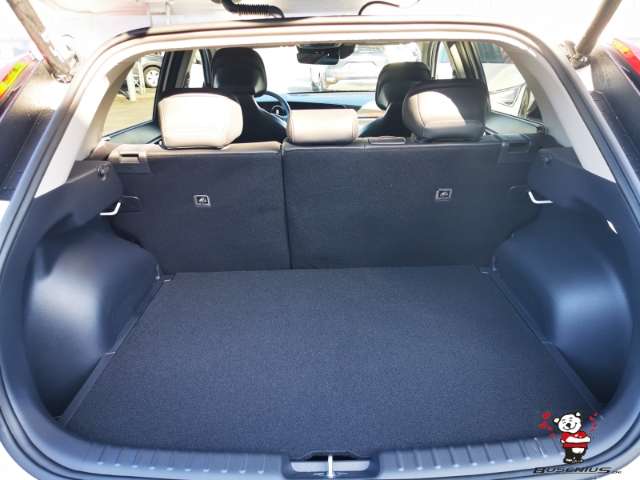 Fahrzeugbild eines Kia Niro