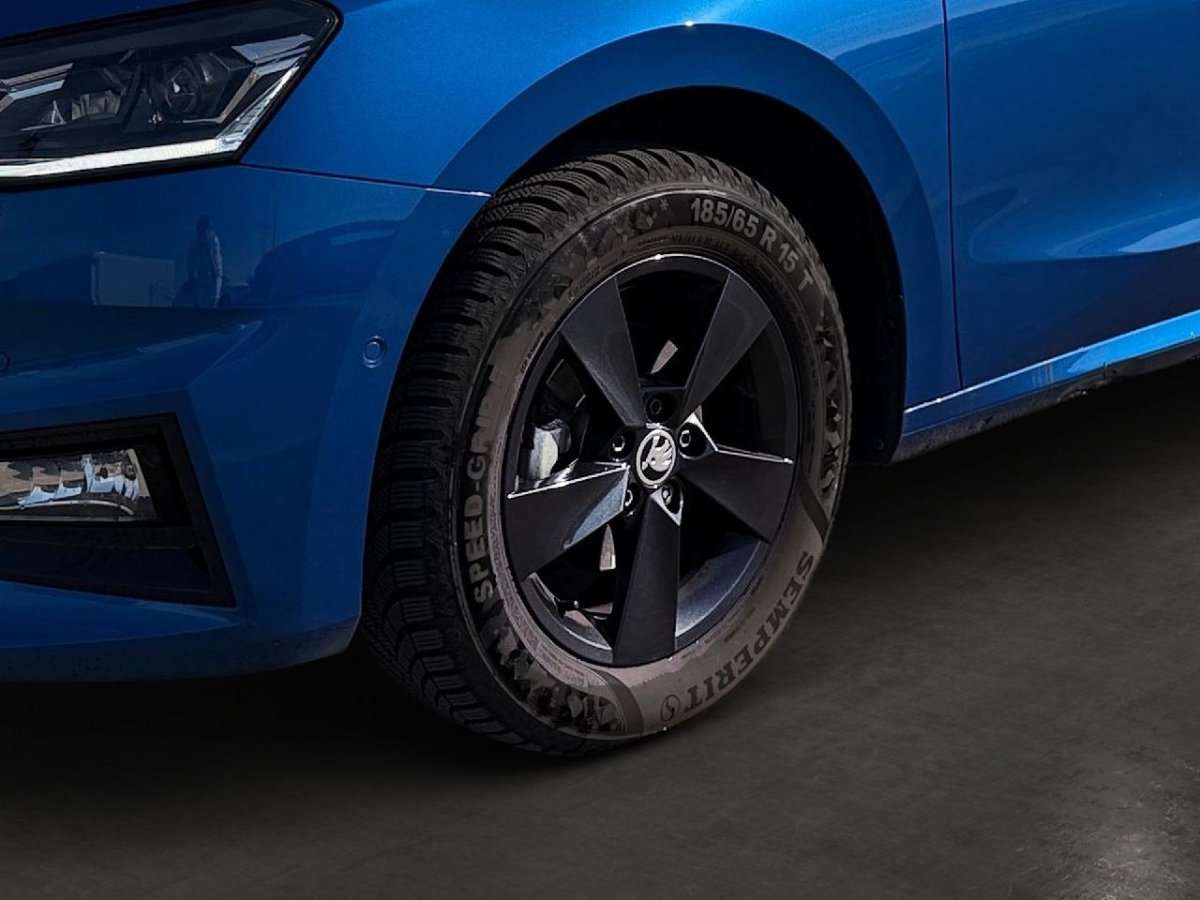 Fahrzeugbild eines Skoda Fabia