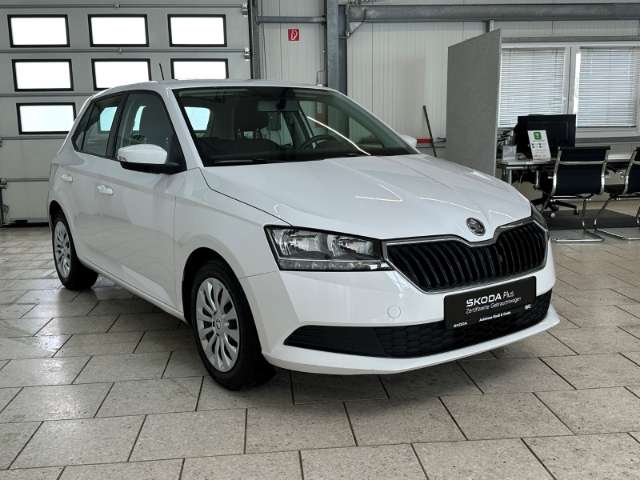 Fahrzeugbild eines Skoda Fabia