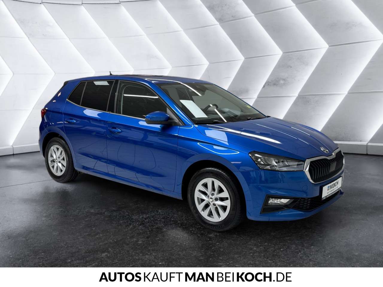 Fahrzeugbild eines Skoda Fabia