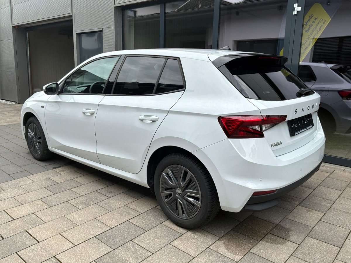 Fahrzeugbild eines Skoda Fabia