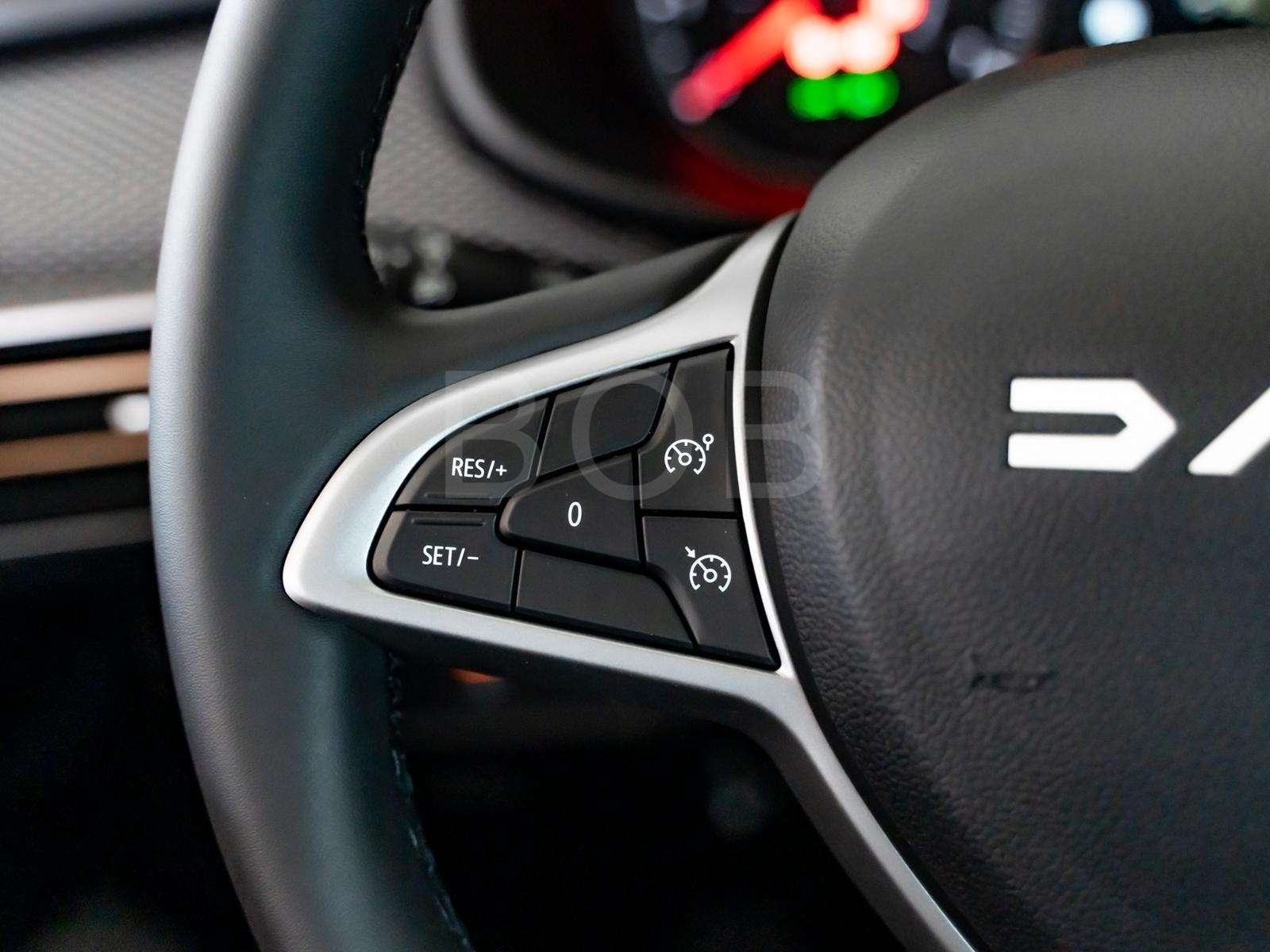 Fahrzeugbild eines Dacia Sandero