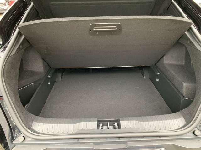 Fahrzeugbild eines Renault Arkana