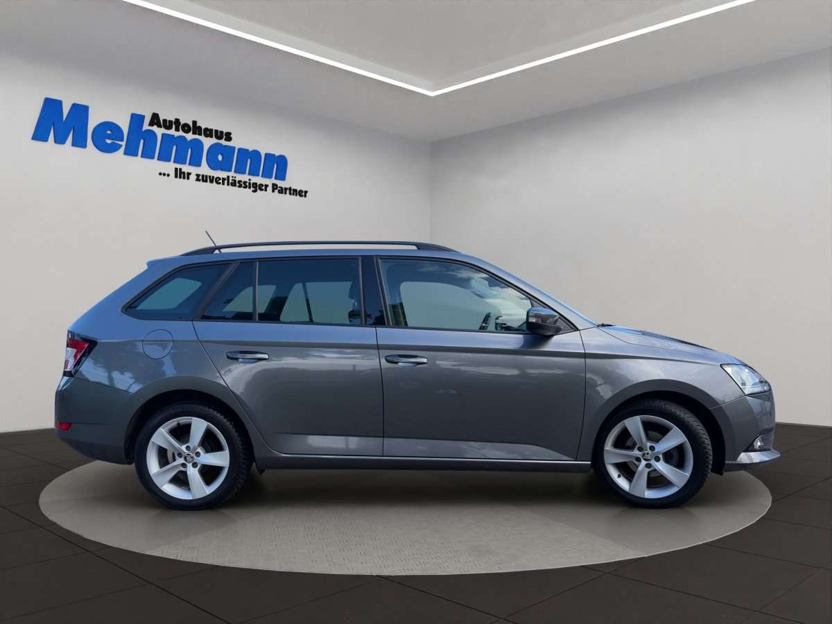 Fahrzeugbild eines Skoda Fabia