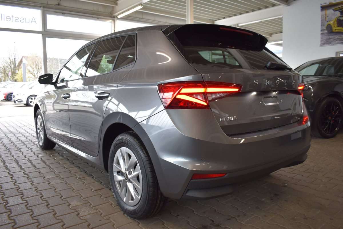 Fahrzeugbild eines Skoda Fabia
