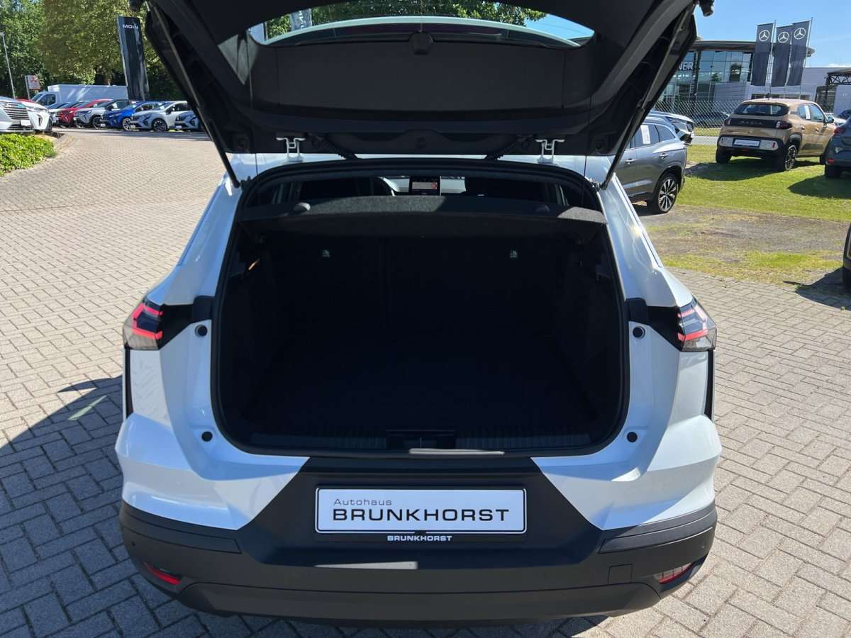 Fahrzeugbild eines Renault Symbioz