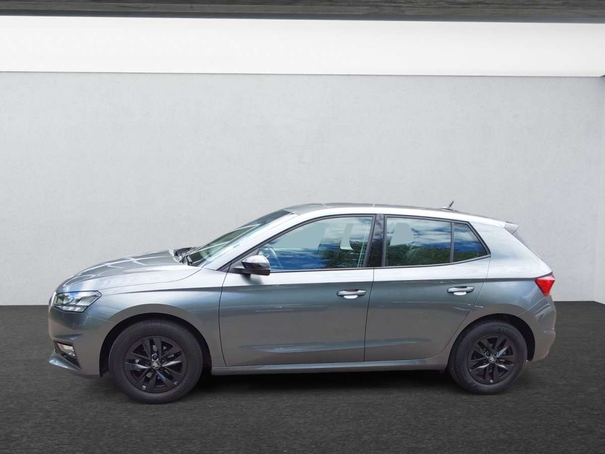 Fahrzeugbild eines Skoda Fabia